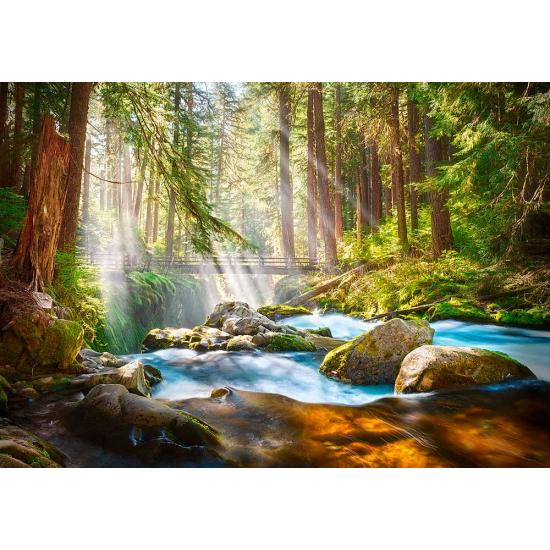 Castorland Wald des Lichts Puzzle 500 Teile