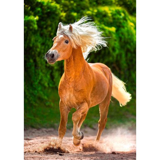 Castorland Haflinger Running Horse Puzzle 500 Teile
