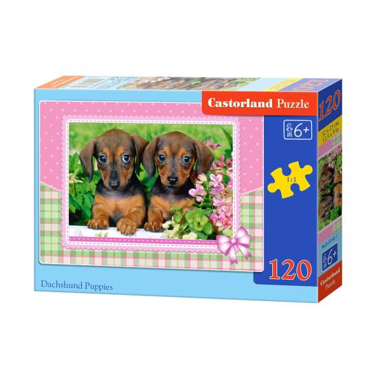 Castorland Dackelwelpen-Puzzle 120 Teile