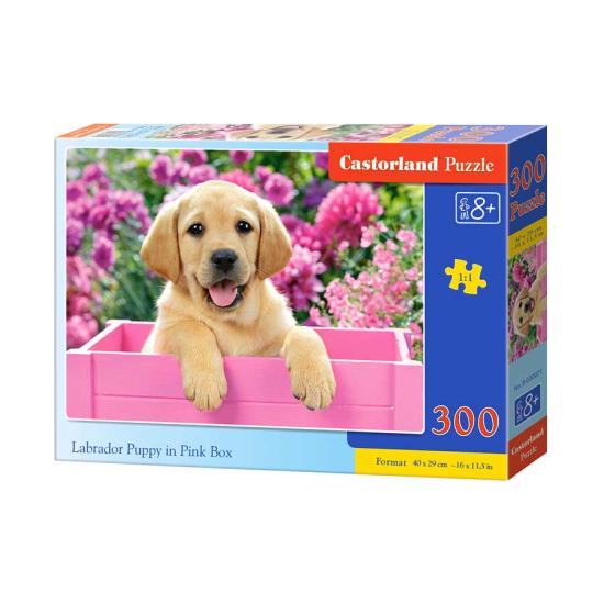 Castorland Puzzle Labrador-Welpe im rosa Korb 300 Teile