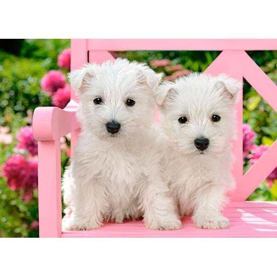 Castorland White Terrier Welpen Puzzle 120 Teile Castorland White Terrier Welpen Puzzle 120 Teile