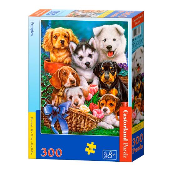 Castorland Welpen Puzzle 300 Teile