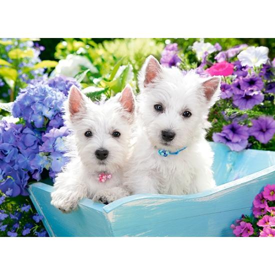 Castorland Westie Welpen Puzzle 200 Teile