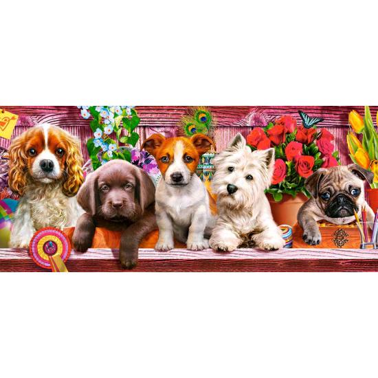 Castorland Puppies on a Shelf Puzzle mit 600 Teilen