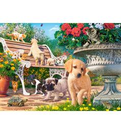 Castorland Puzzle Welpen spielen Verstecken 100 Teile