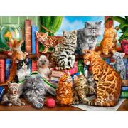 Castorland Katzenhaus-Puzzle 2000 Teile