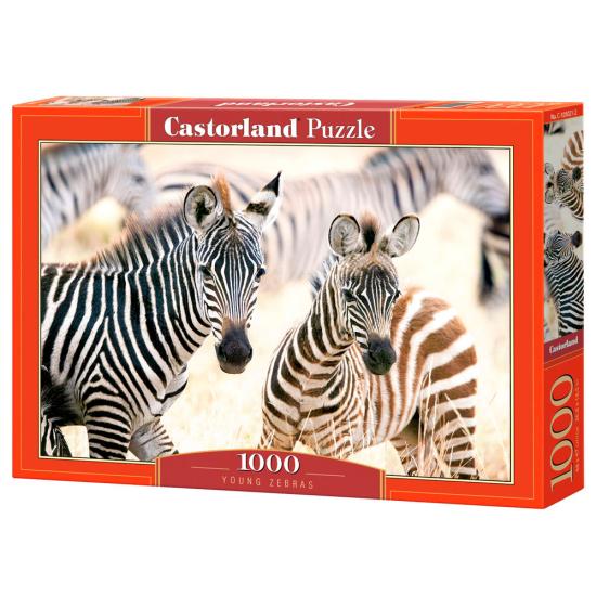 Castorland Junge Zebras Puzzle mit 1000 Teilen