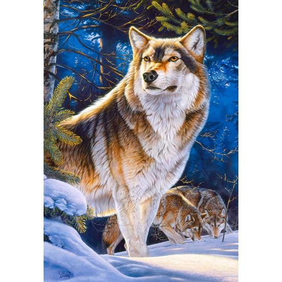 Castorland Sentinel 1000-teiliges Puzzle