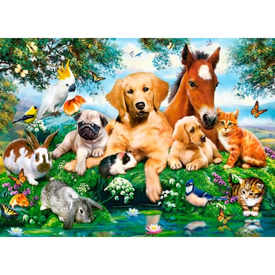 Castorland Kollegen Tiere im Sommer Puzzle 200 Teile