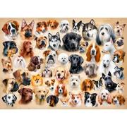 Castorland Dog Collage Puzzle 1500 Teile