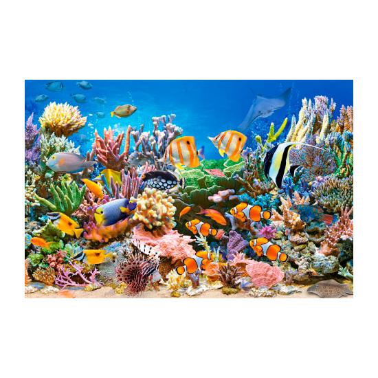 Castorland Farben des Ozeans Puzzle 260 Teile Castorland Farben des Ozeans Puzzle 260 Teile