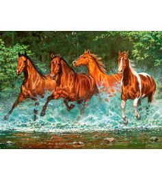 Castorland Running in the Waterfall Puzzle 300 Teile