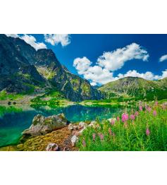 Puzzle Castorland Czarny Staw Pod Rysami, Tatra-Gebirge 500 Teil