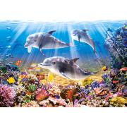 Castorland Delfine Unterwasserpuzzle 500 Teile