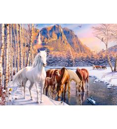 Castorland Winter Thaw Puzzle 500 Teile