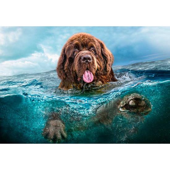 Castorland Puzzle Der Schiffbrüchige 1000 Teile