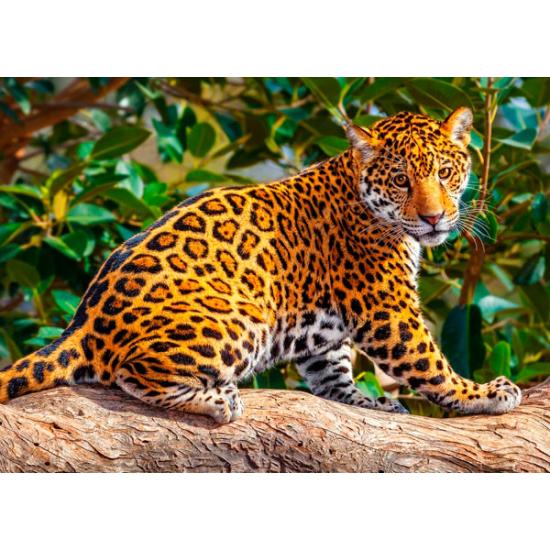 Castorland Der kleine Jaguar Puzzle 260 Teile