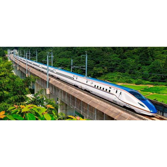 Castorland Puzzle Der Schnellzug 600 Teile