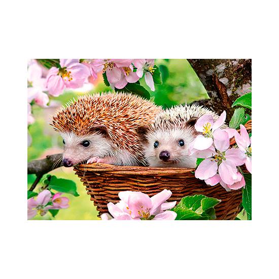Castorland Igel im Frühling Puzzle 120 Teile