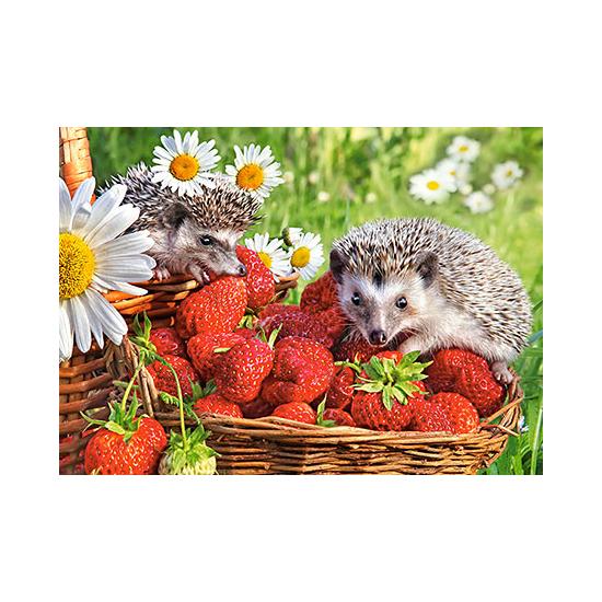 Castorland Igel und Erdbeeren Puzzle 260 Teile