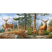 Castorland Royal Deer Family Puzzle 4000 Teile