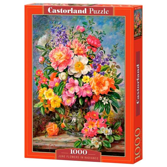 Castorland Radiant June Flowers Puzzle 1000 Teile