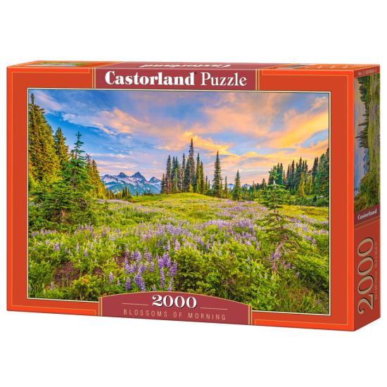 Castorland Morning Flowers Puzzle 2000 Teile