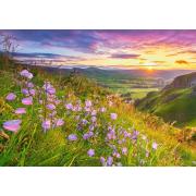 Castorland Wildblumen im Morgengrauen Puzzle 500 Teile