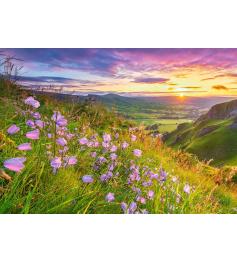 Castorland Wildblumen im Morgengrauen Puzzle 500 Teile