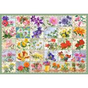 Castorland Vintage Blumen Puzzle 1000 Teile