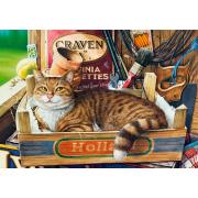 Castorland Fothergill Puzzle, Die Katze in der Box, 500 Teile