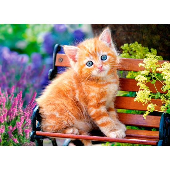 Castorland Blondes Kätzchen Puzzle 180 Teile