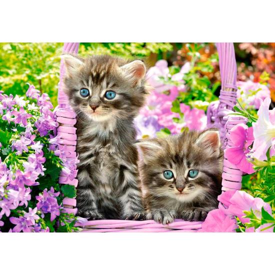 Castorland Kätzchen im Sommergarten Puzzle 1000 Teile