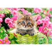 Castorland Kätzchen in einem blühenden Garten Puzzle 500 Teile