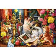 Castorland Magic Kittens Puzzle 1000 Teile