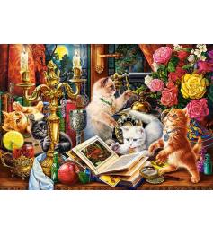Castorland Magic Kittens Puzzle 1000 Teile