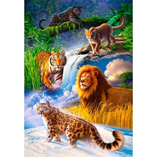 Castorland Big Cats Puzzle 1000 Teile