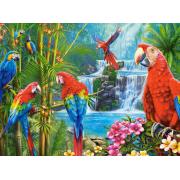 Castorland Gruppe von Papageien Puzzle 2000 Teile