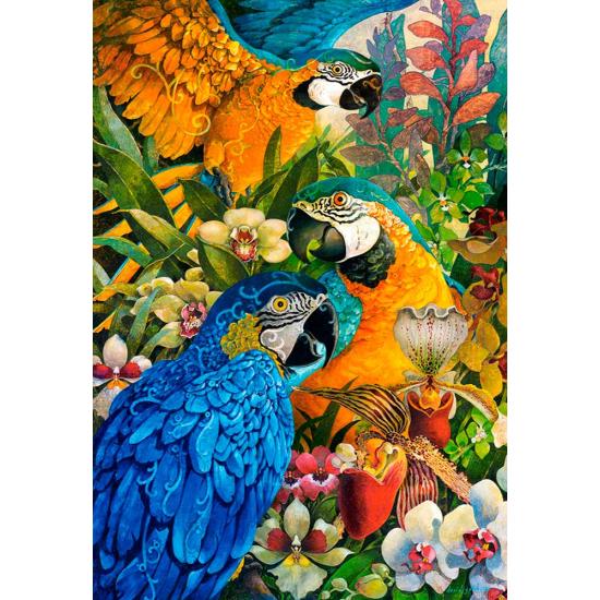 Castorland Amazonas-Aras-Puzzle 1000 Teile