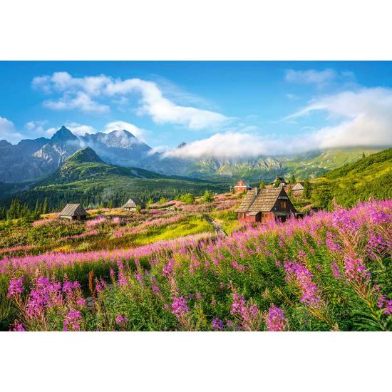 Castorland Hala Gasienicowa, Tatra, Polen 1000-teiliges Puzzle