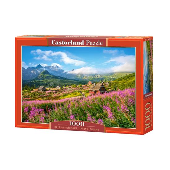 Castorland Hala Gasienicowa, Tatra, Polen 1000-teiliges Puzzle