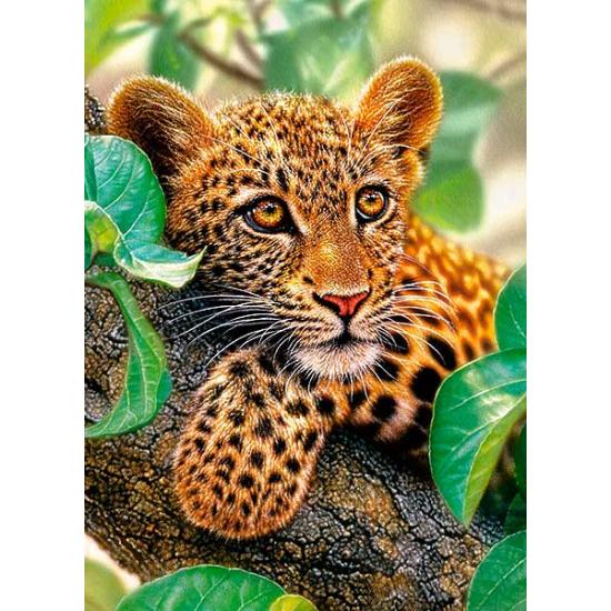 Castorland Jaguar Hugging the Tree Puzzle 300 Teile