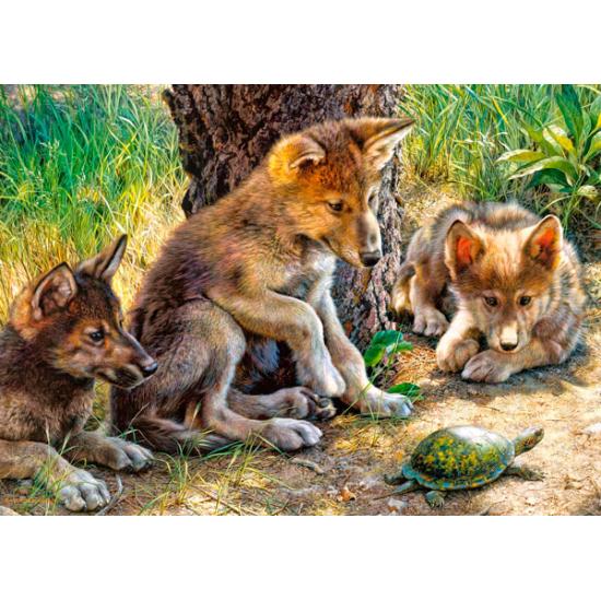 Castorland-Puzzle „Spielen mit einer Schildkröte“ mit 260 Teilen