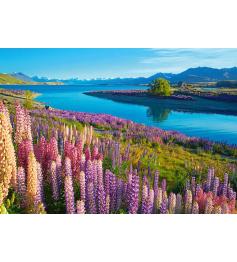 Castorland Lake Tekapo, Neuseeland 500-teiliges Puzzle