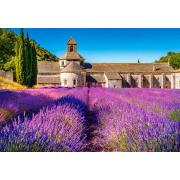 Castorland Lavendel in Notre Dame de Senanque Puzzle mit 1000 Te