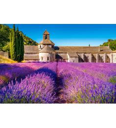 Castorland Lavendel in Notre Dame de Senanque Puzzle mit 1000 Te