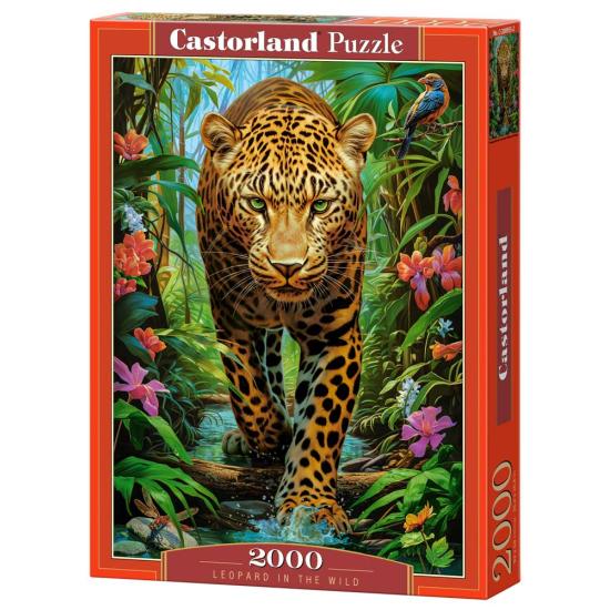 Puzzle Castorland Leopard In Freier Wildbahn 2000 Teile Puzzle Castorland Leopard In Freier Wildbahn 2000 Teile
