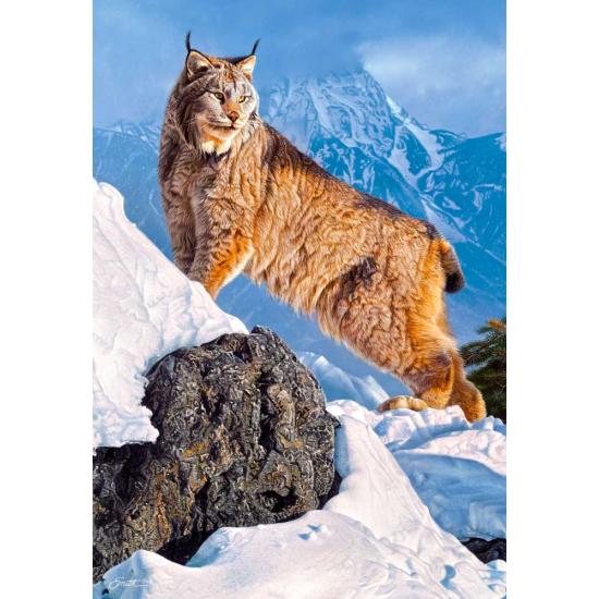 Castorland Luchs im Berg Puzzle 1000 Teile