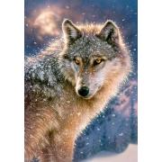 Castorland Lone Wolf Puzzle 500 Teile