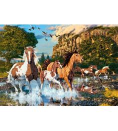 Castorland Das Land der Pferde Puzzle 1000 Teile